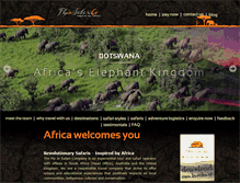 Tablet Screenshot of flyinsafarico.com